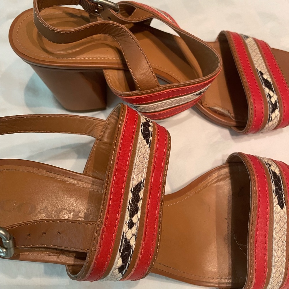 Coach - Size 11B - Picture 4 of 4